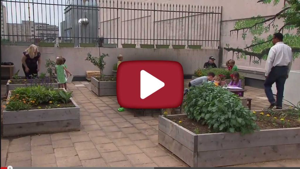 A great community garden on a rooftop in Nashville