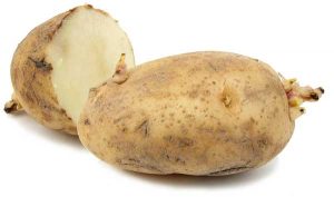 Russet Burbank Potatoes