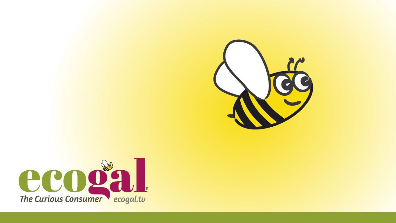 The story of ecogal’s bee