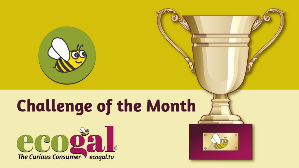 ecogal Challenge of the Month