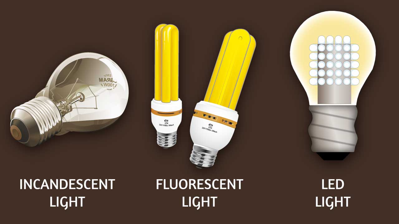 Types Of Fluorescent Bulbs